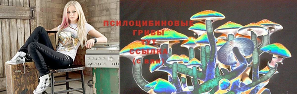 mdpv Армянск