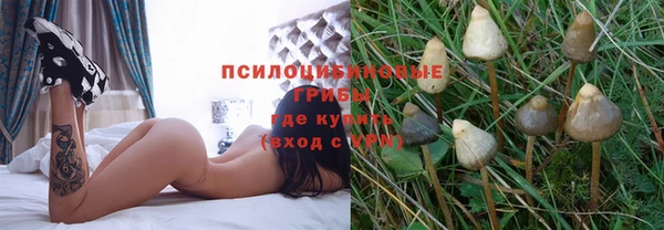 ALPHA-PVP Арсеньев