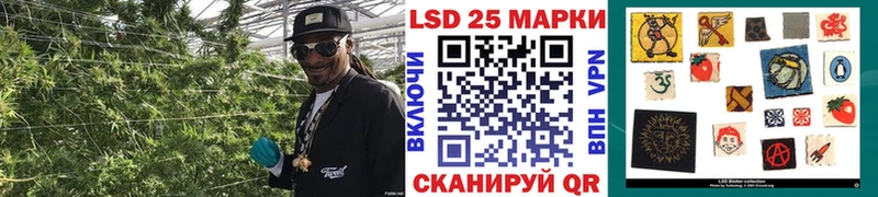 купить закладку Сокол Наркотические марки 1500мкг