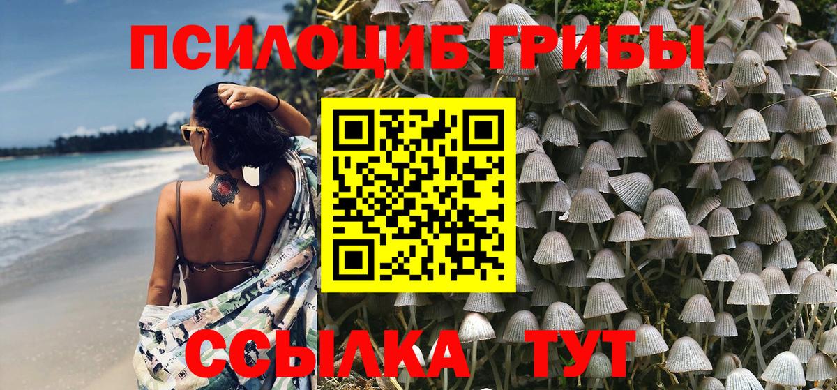 Сокол  Галлюциногенные грибы Magic Shrooms  Вход с VPN  Псилоцибиновые грибы мухоморы 