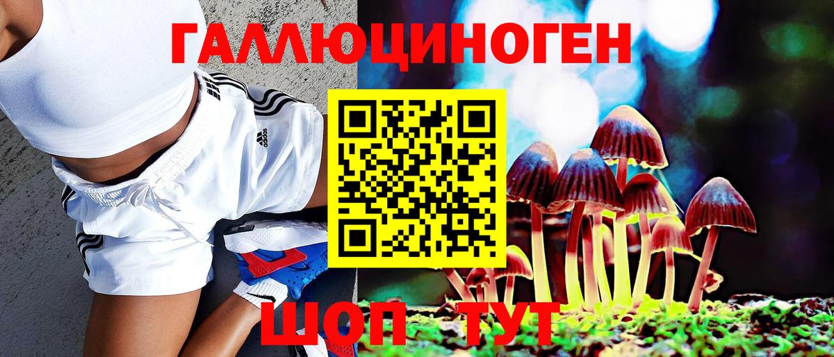 Галлюциногенные грибы Cubensis Сокол