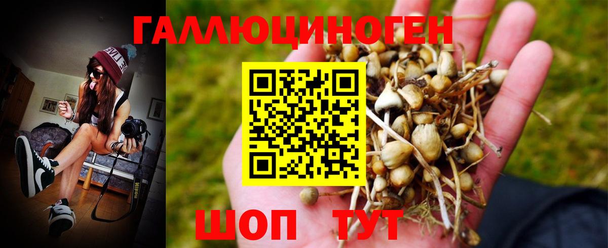 Псилоцибиновые грибы MAGIC MUSHROOMS Сокол