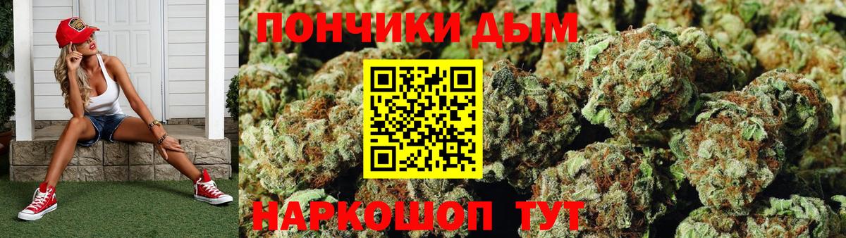 Конопля Amnesia  Бошки Шишки гибрид  Сокол  Марихуана планчик  Вход с VPN  Бошки марихуана Bruce Banner 