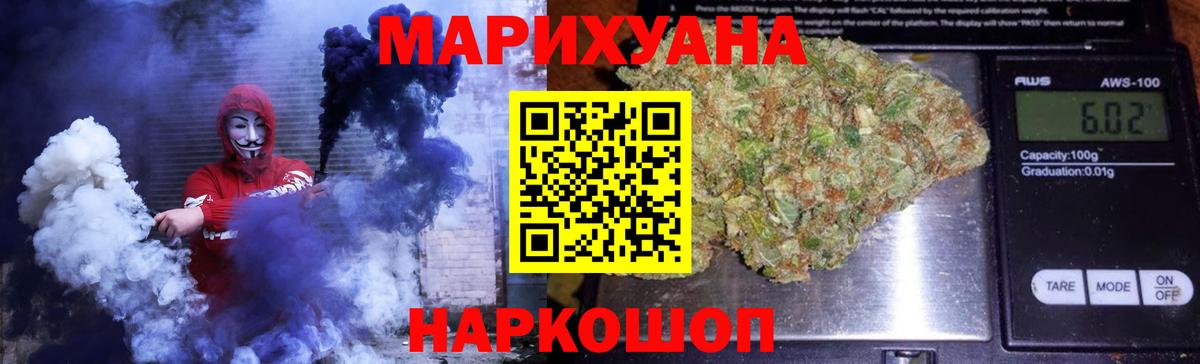 Марихуана сатива Сокол